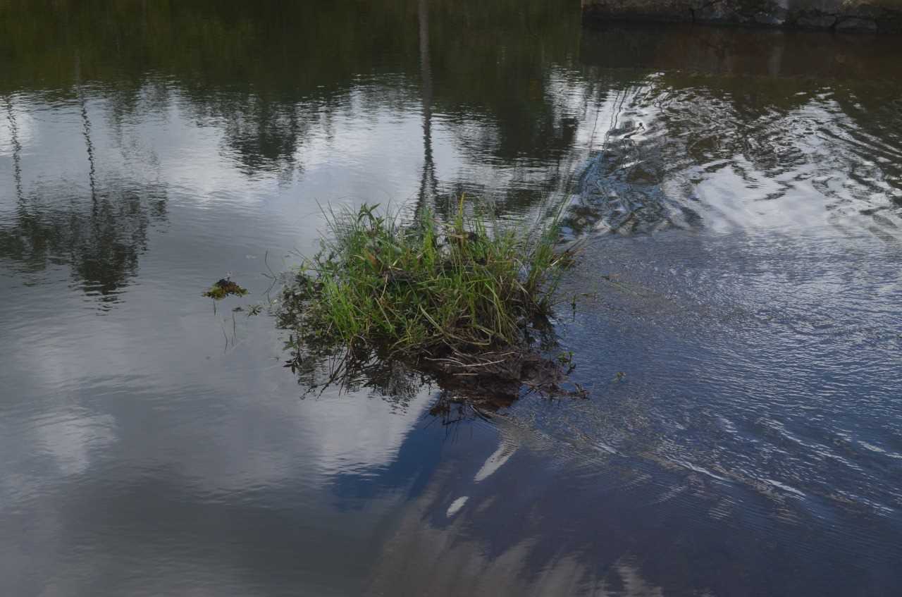 Prefeito solicita a Embasa manutenção dos serviços a respeito da Barragem